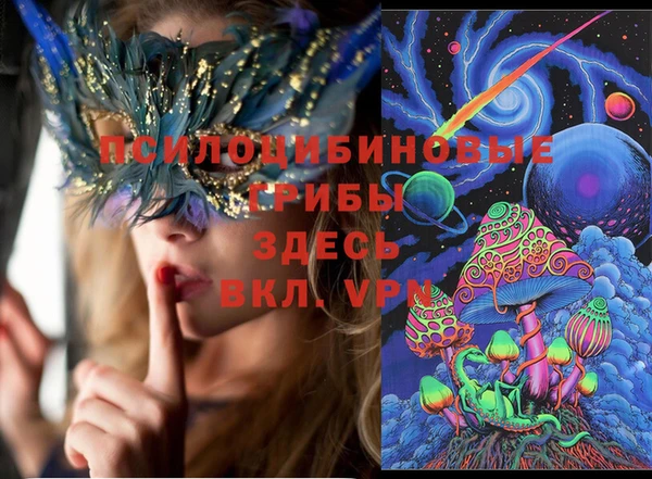 MDMA Богородицк